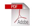 pdf Custom