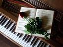 piano Custom